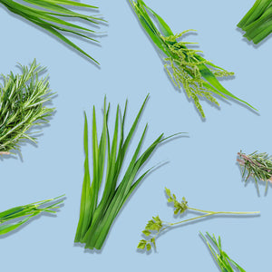 Spring Meadow Deodorant